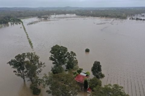 Picture shows a flooded winery.