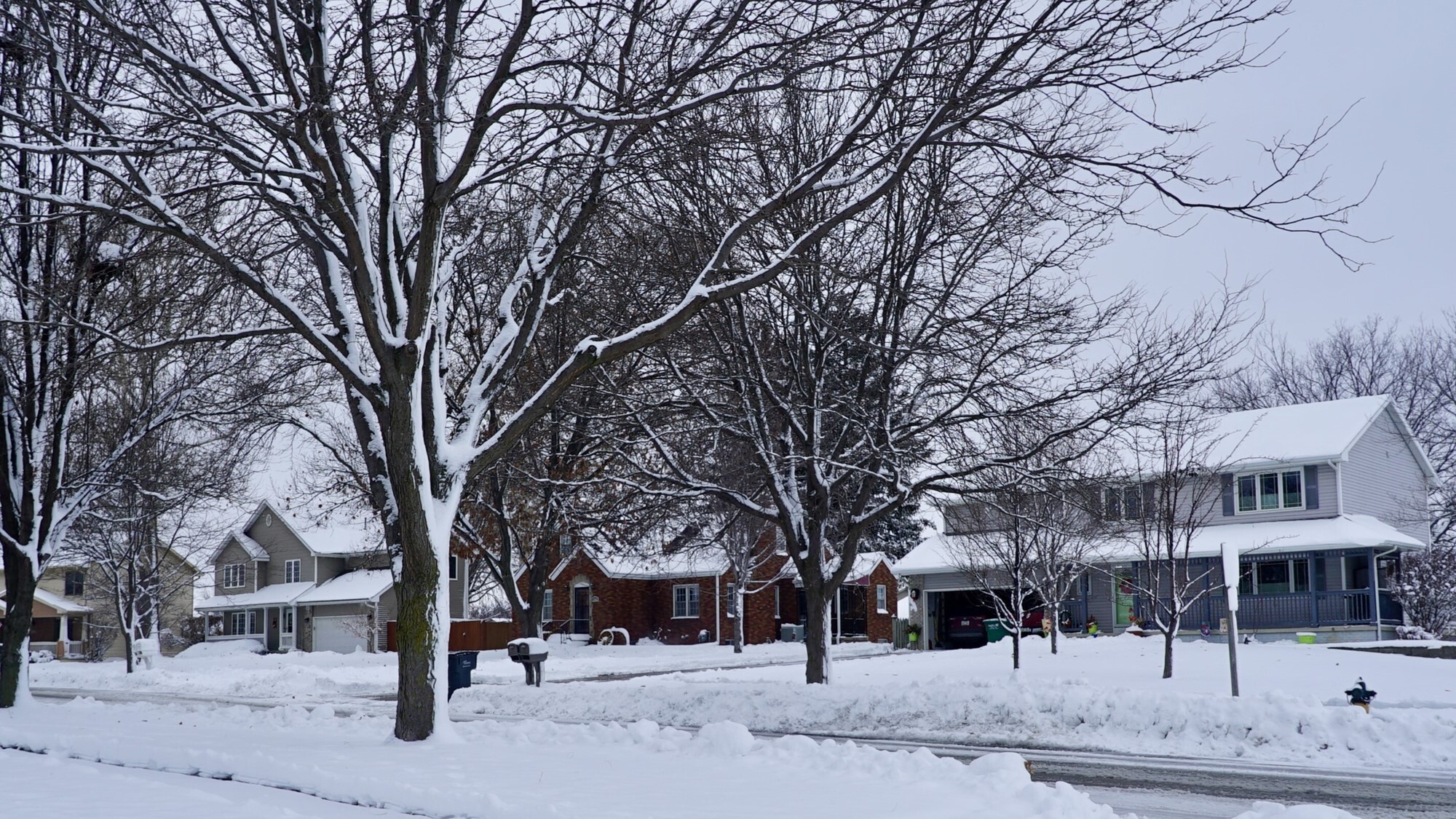 A winter scene with snow-lined trees and homes