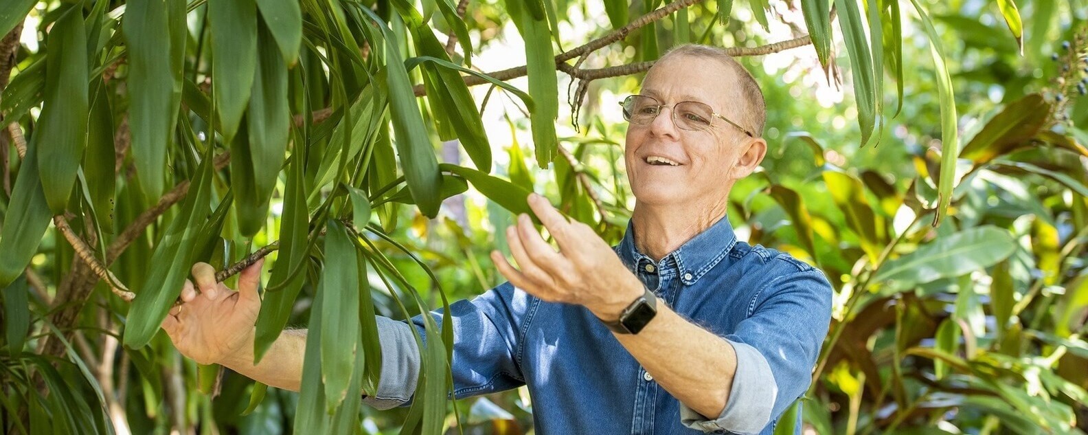 A man smiling and studying the leaf of a large plant