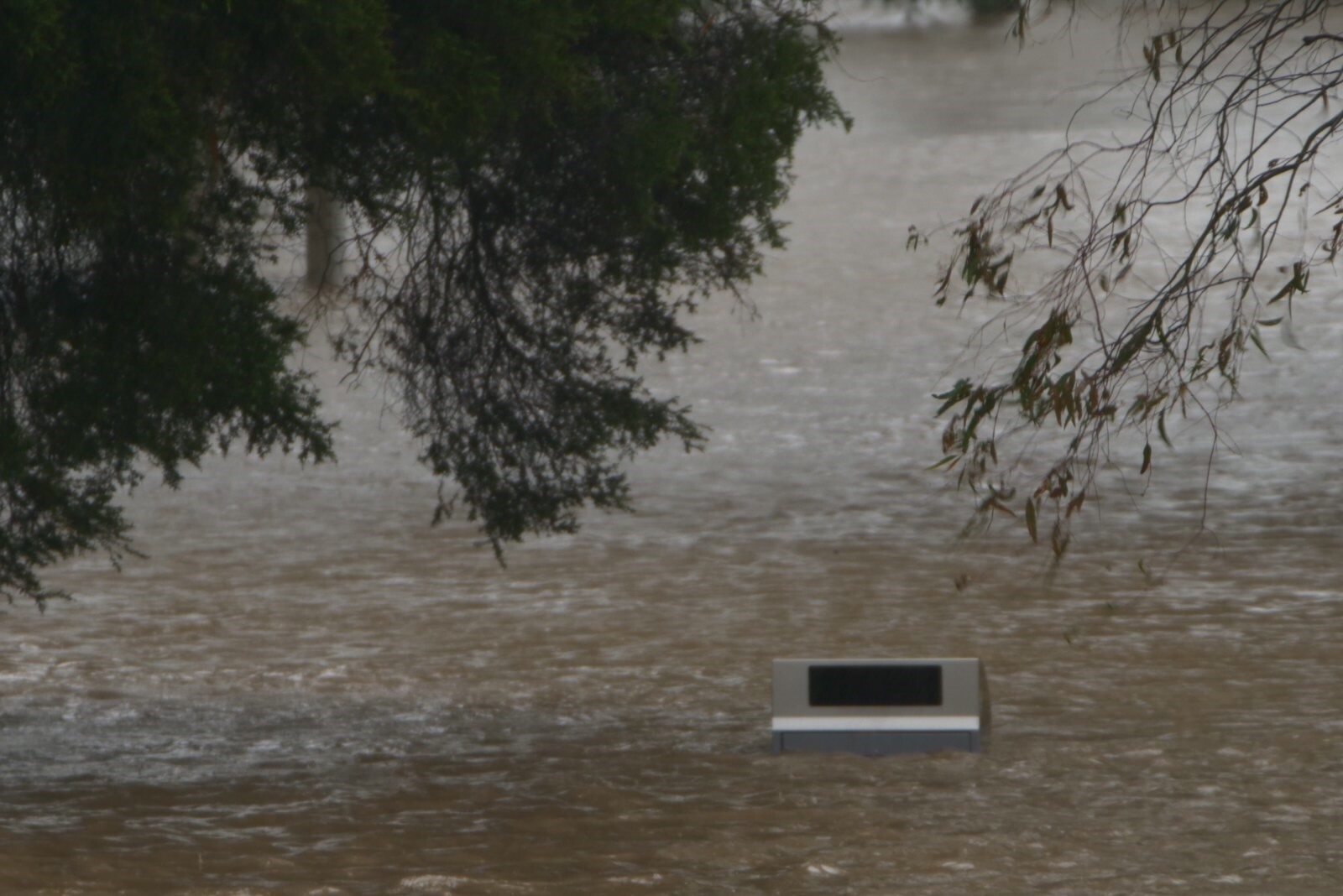 Picture shows water rising to the top of a park bin.