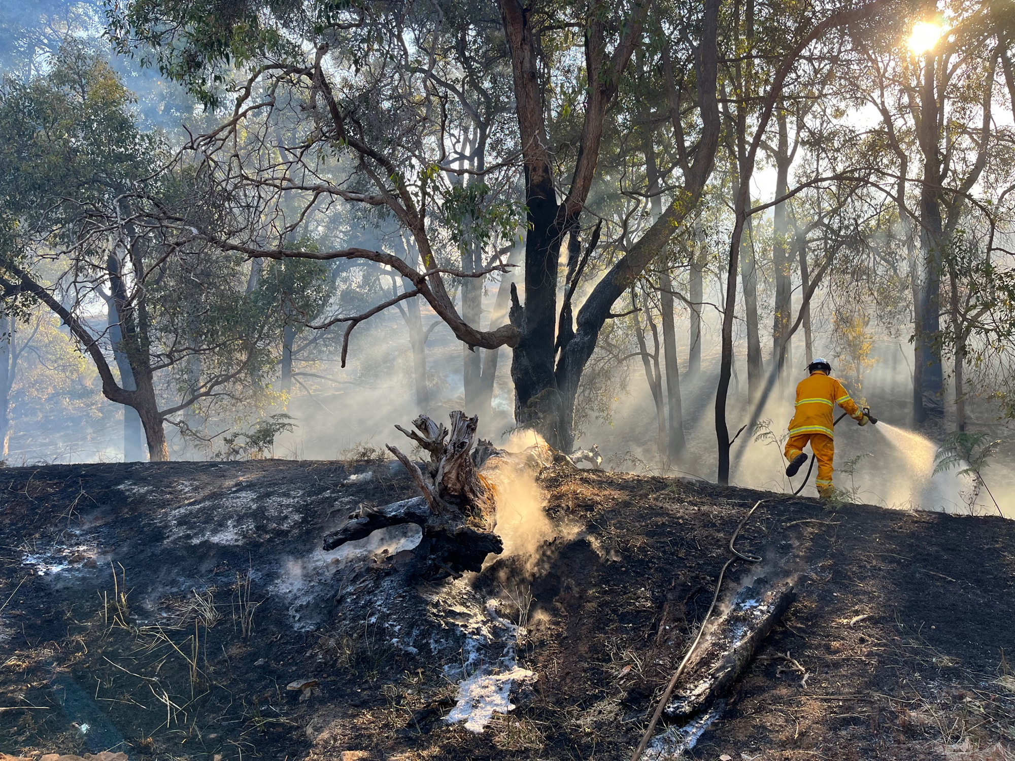 A firefighter wearing yellow protective equipment puts out a bushfire with a hose