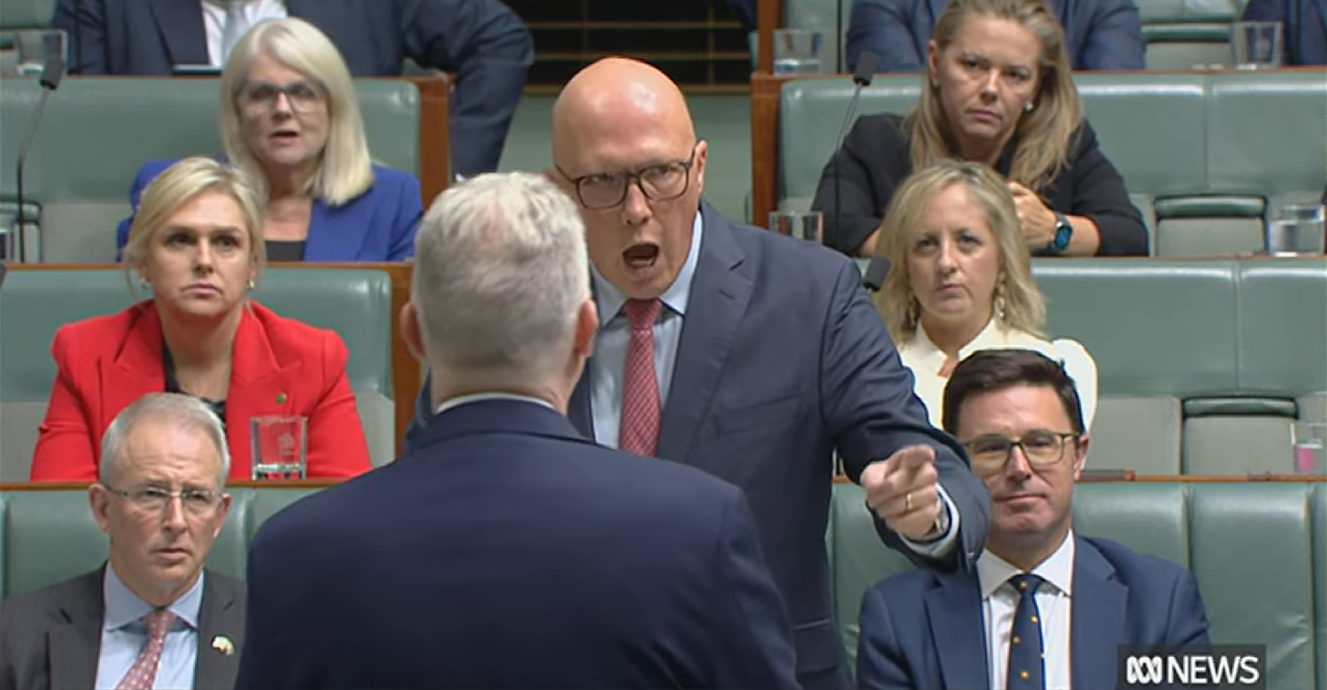 A man stands, screams and points in parliament