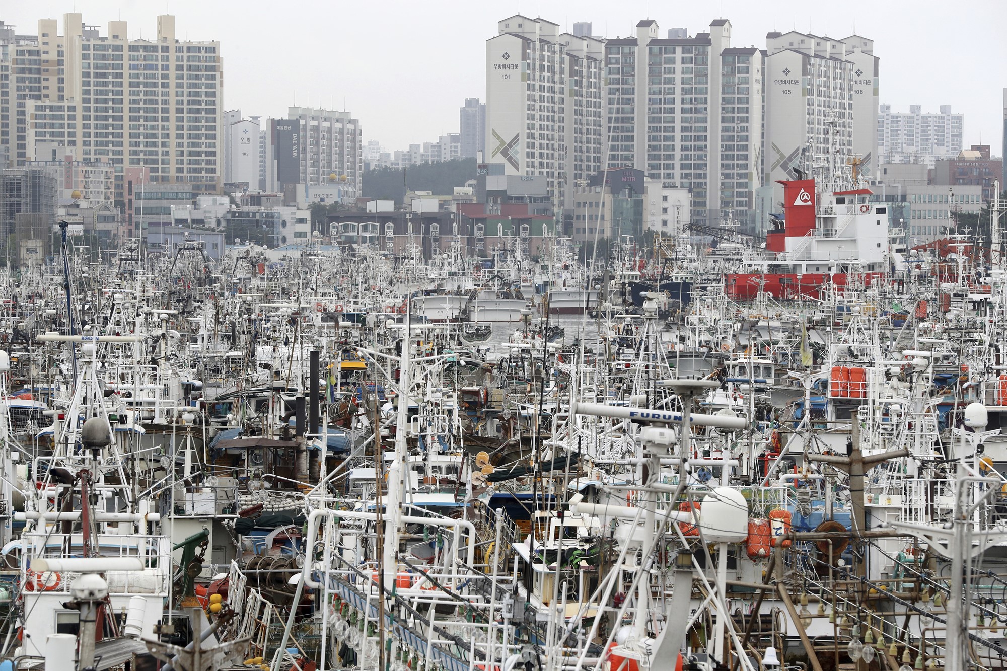 Hundreds of boats are anchored at a port.