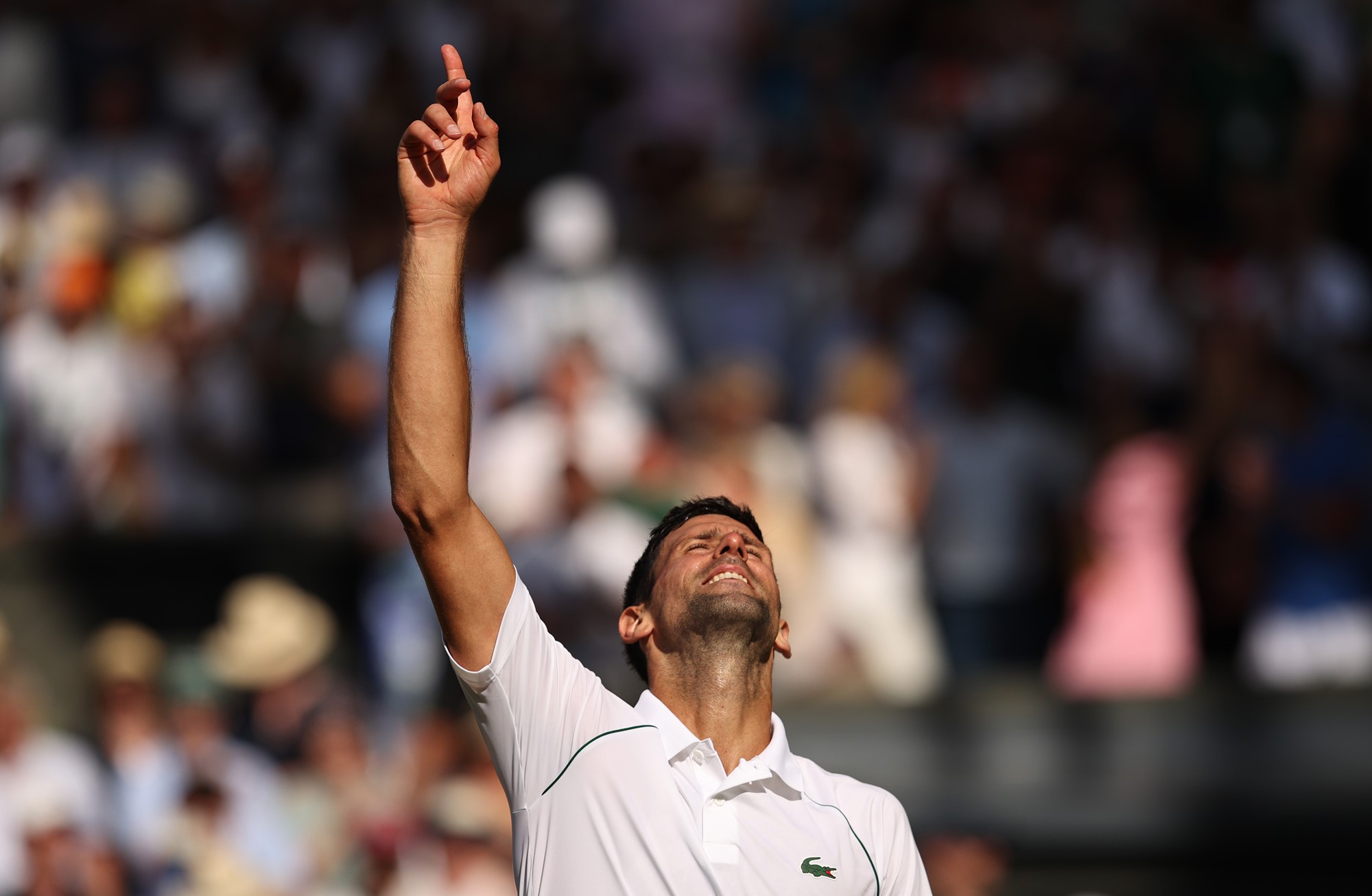 Novak Djokovic points to the sky after winning the Wimbledon final.