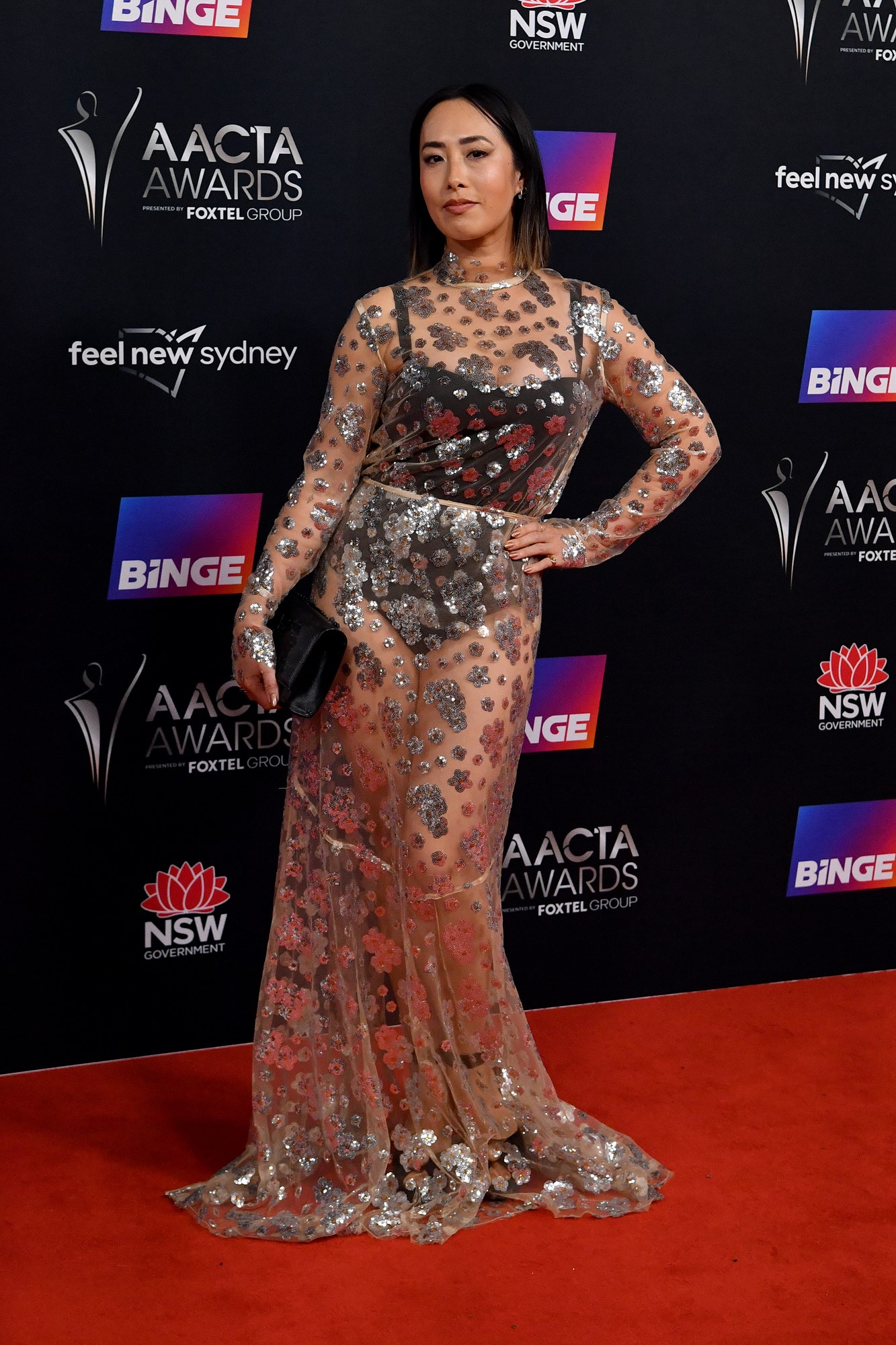 Melissa poses in a sheer, silver dress.