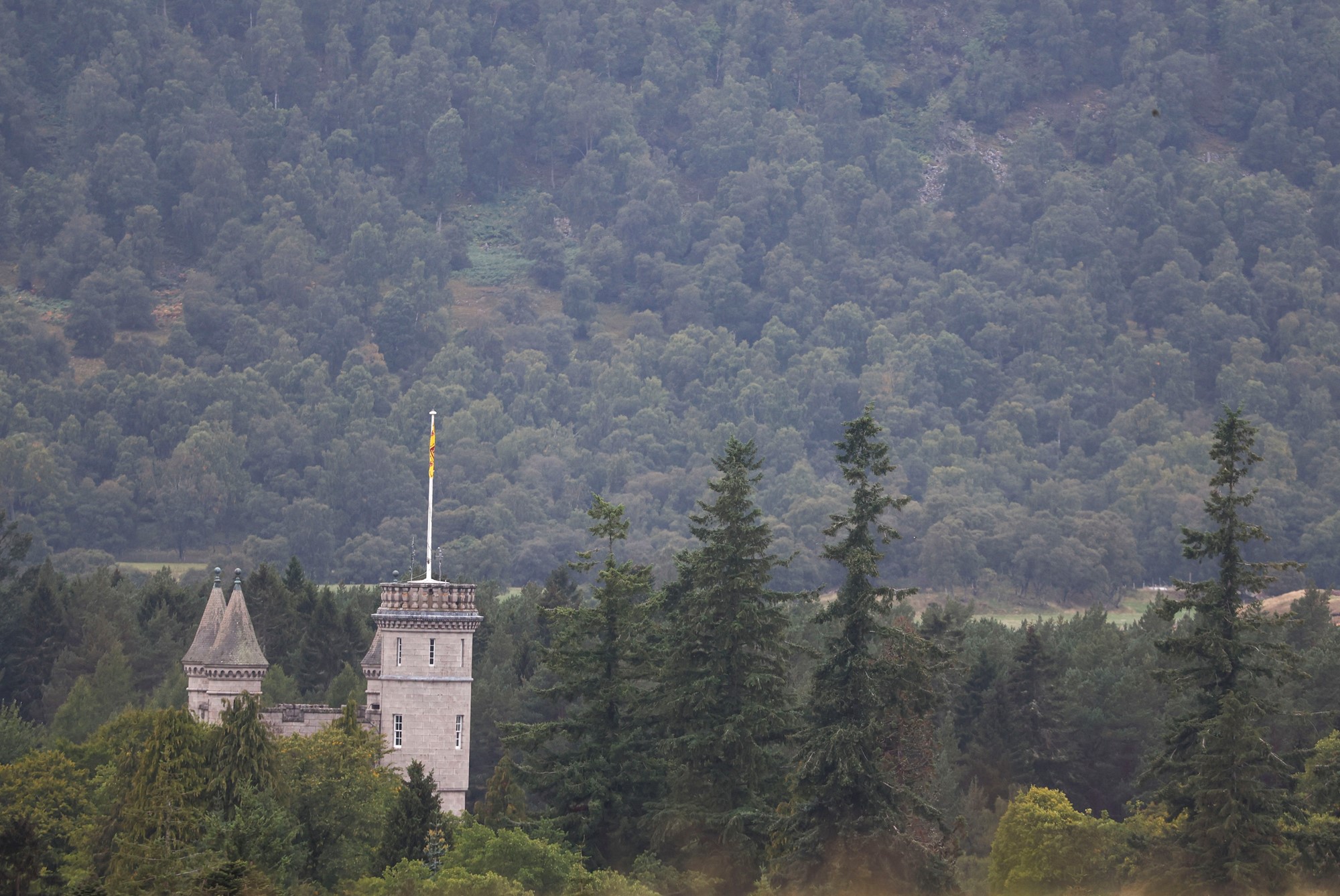 A flag flies at a castle surrounded by a forest.