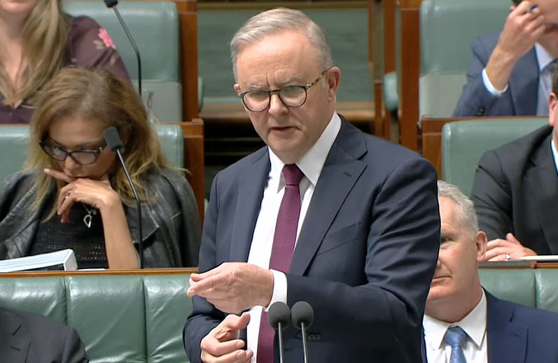 Anthony Albanese speaking in parliament.