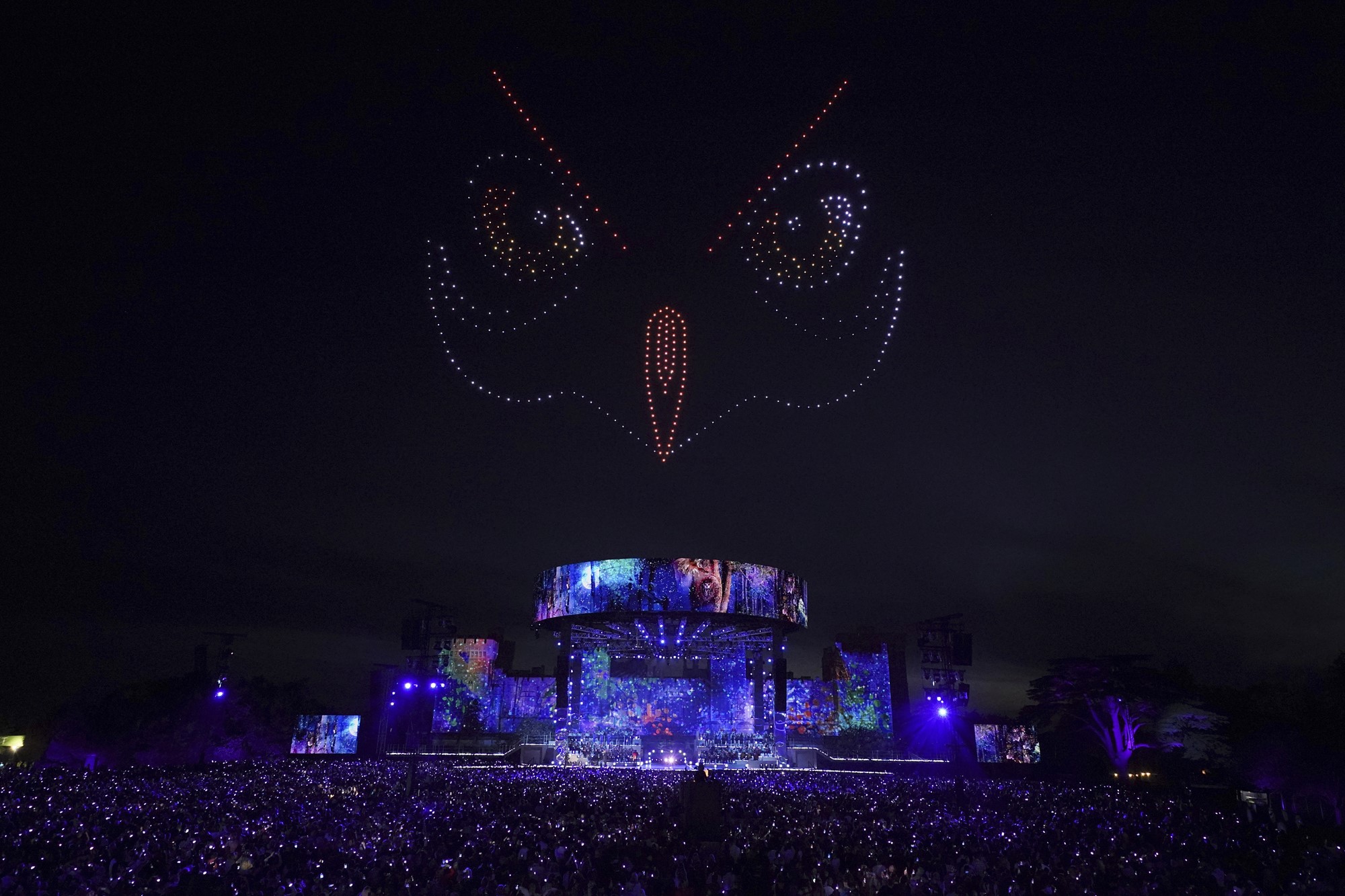 Drones in the night sky create an image of an owl with lights.
