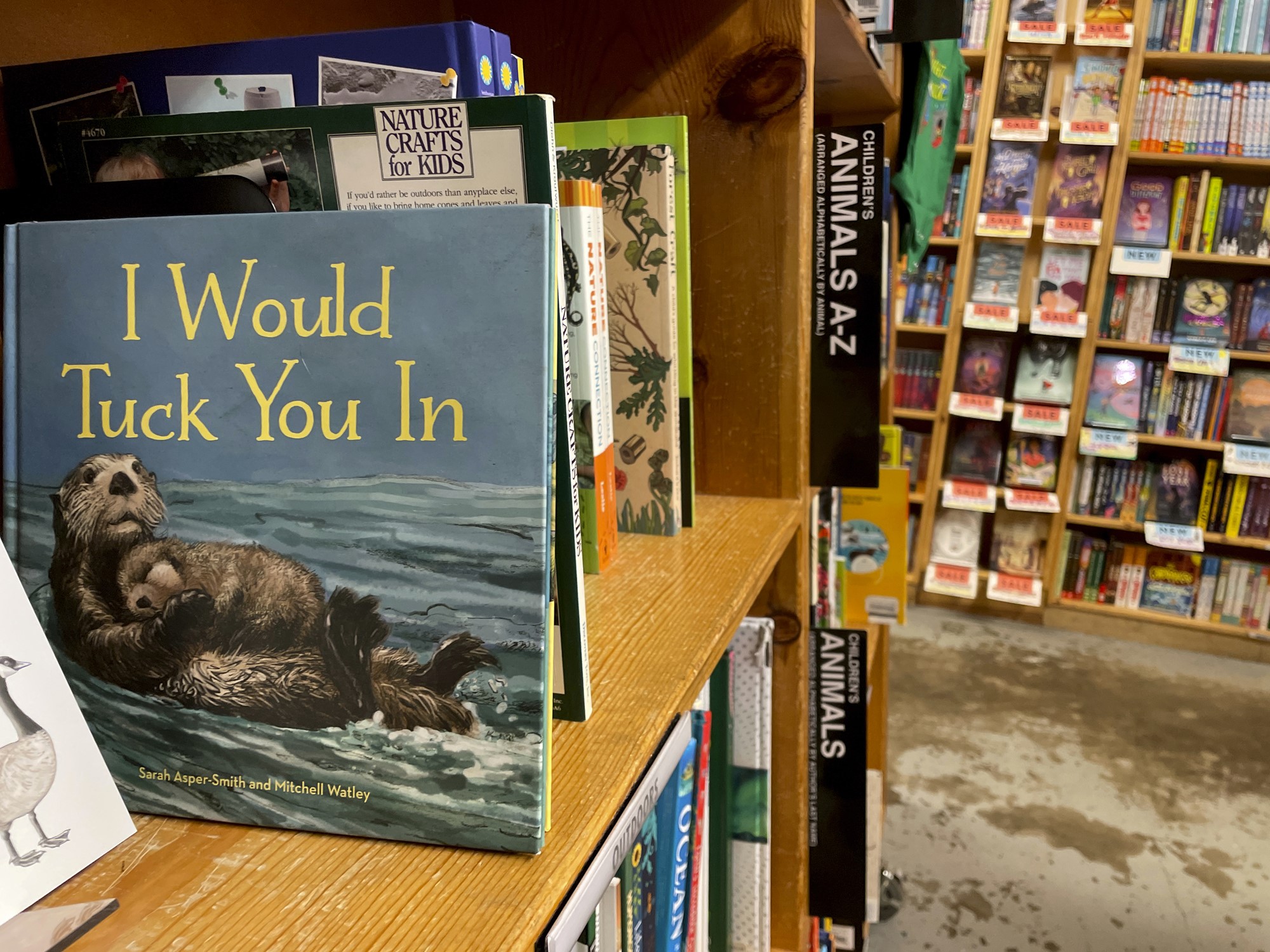 The children's book "I Would Tuck You In," illustrated by Mitchell Thomas Watley, is shown at a bookstore