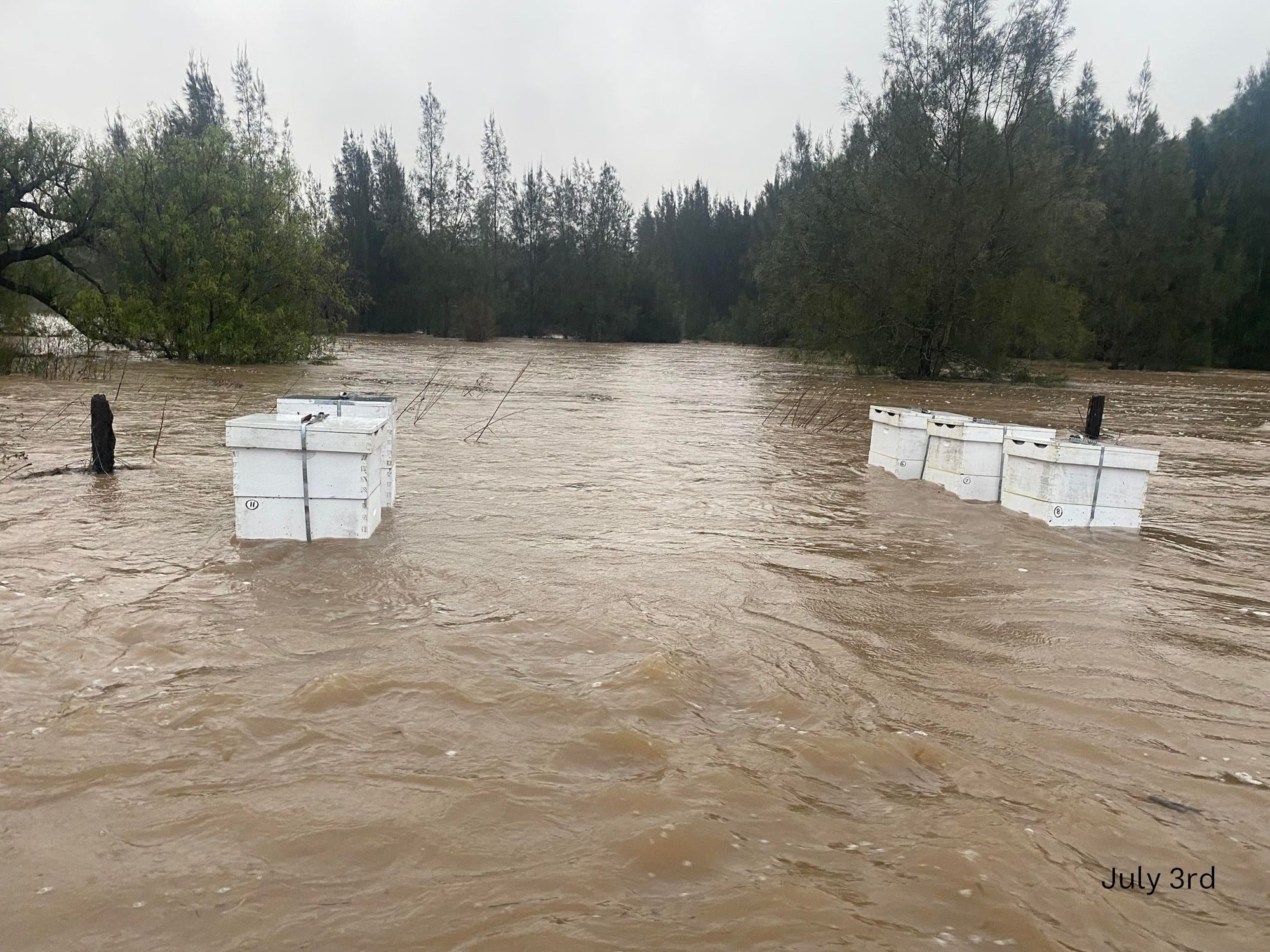 white beehives being carried away by rushing brown floodwaters