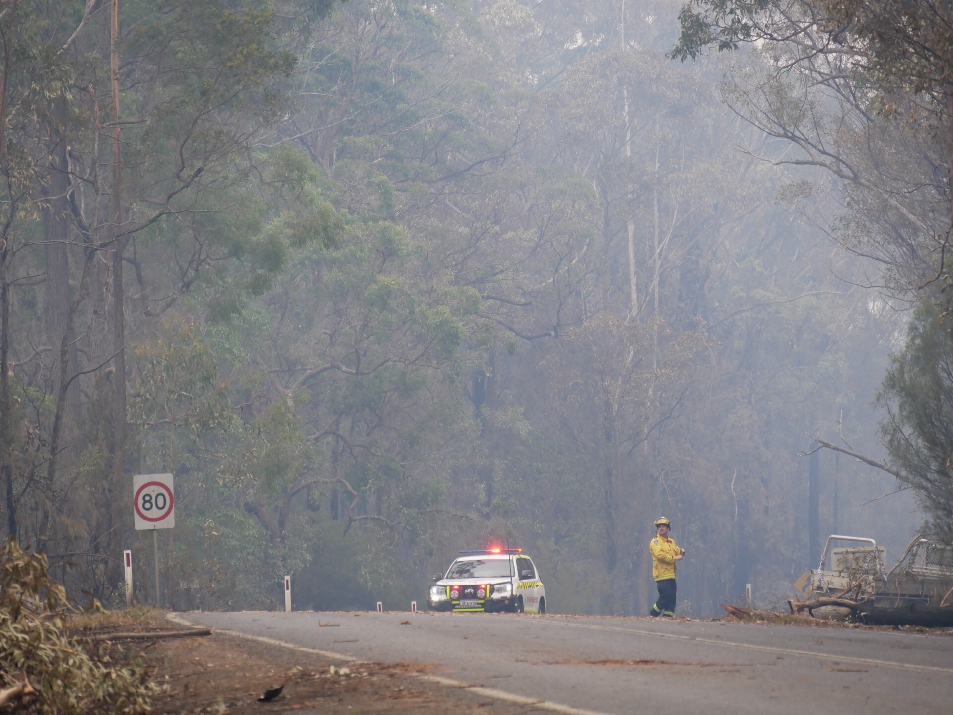RFS worker stands in middle of road with car and flashing lights surrounded by trees.