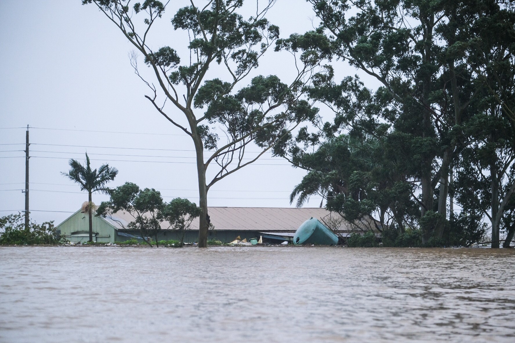 a green-coloured property is completely inundated by floodwaters up to its roof. a green water tank floats nearby