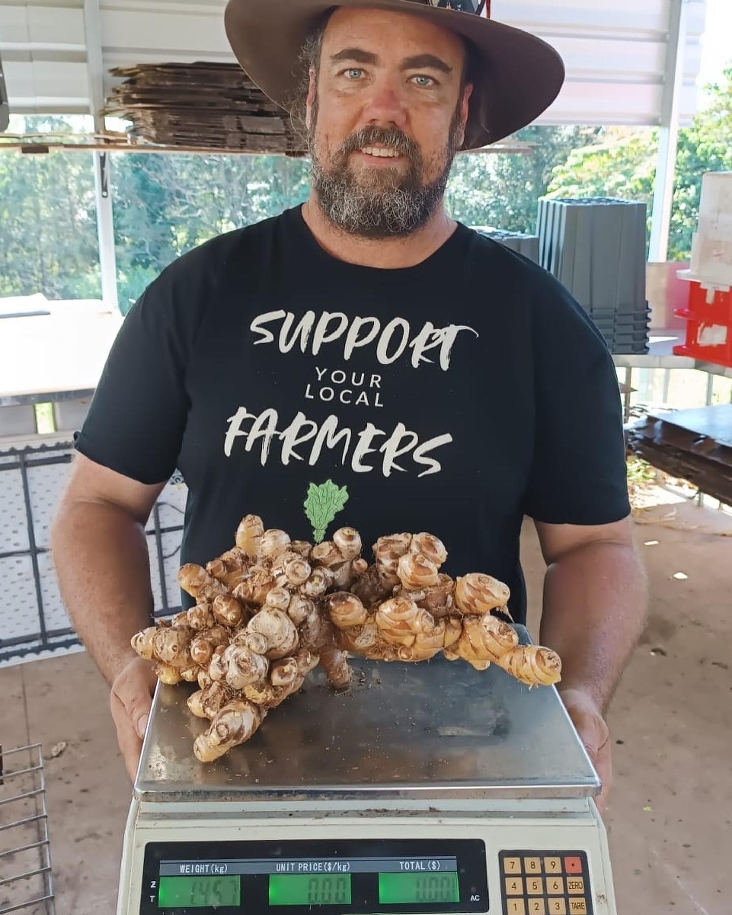 A male farmer weighing a large piece of ginger.