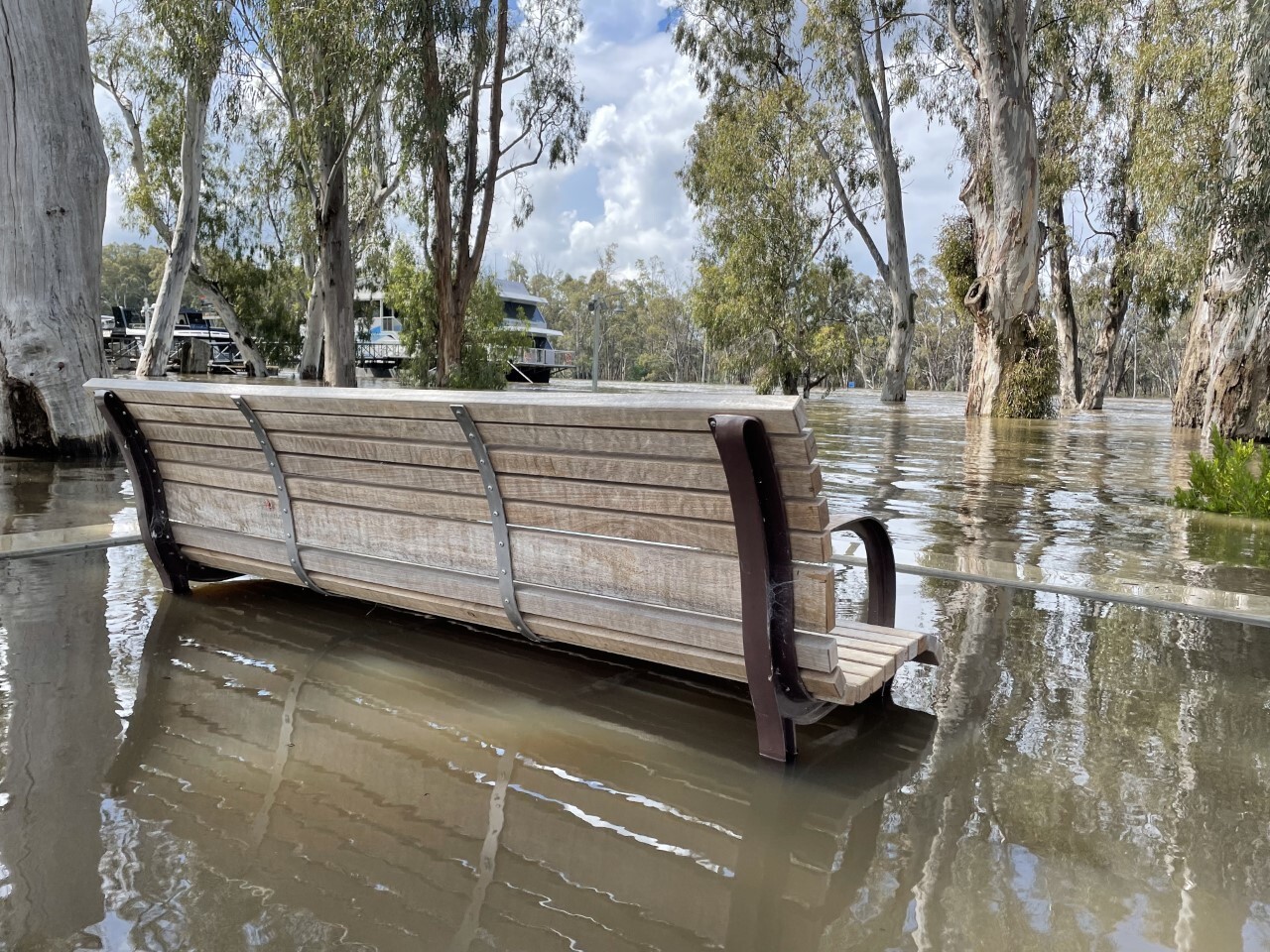 Floodwater rise to underneath a park bench in Echuca.