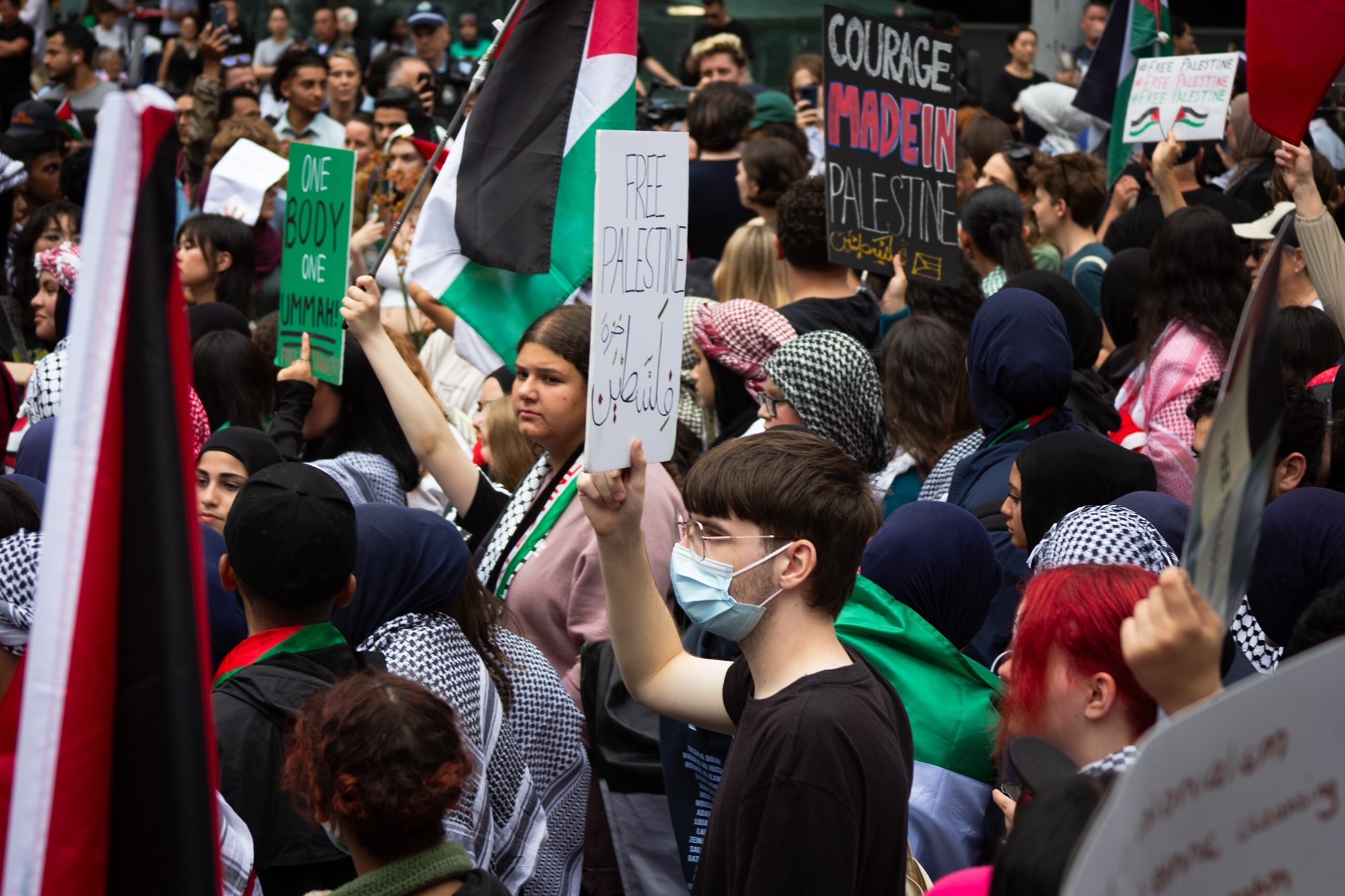 Image of a pro-Palestinian demonstration, people holding flags and signs.
