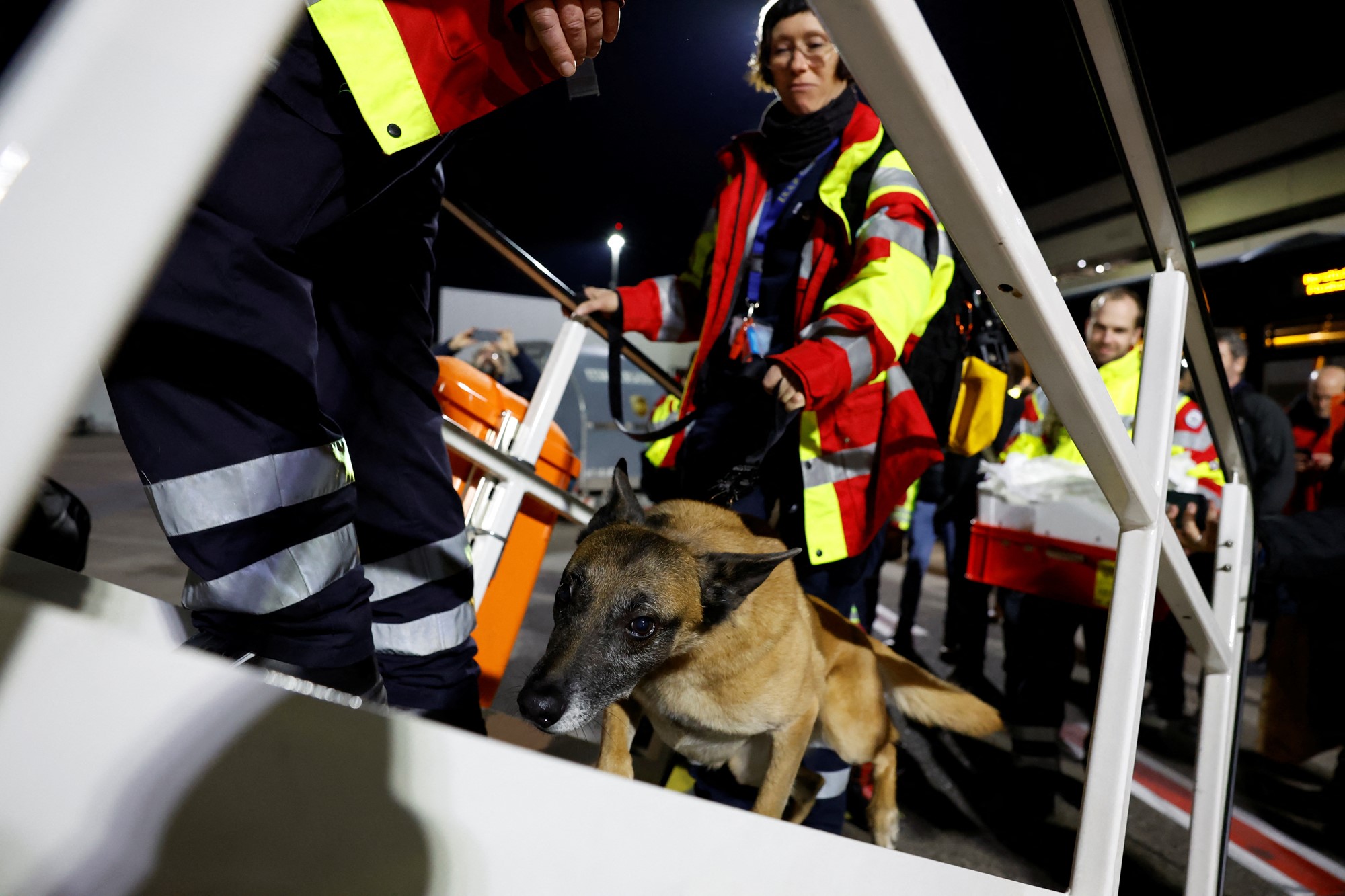 A woman walks a dog onto a plane