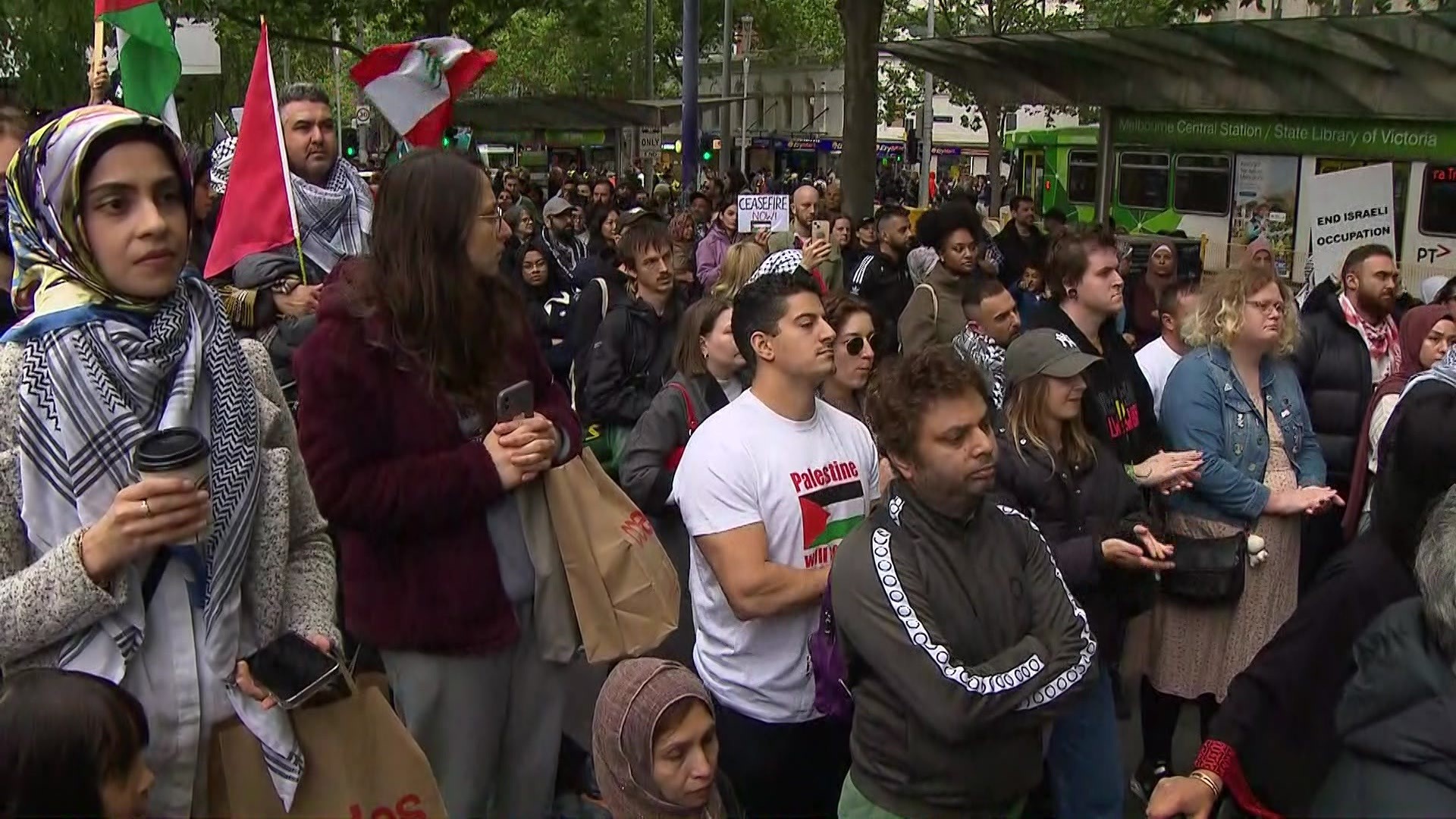 A pro-Palestine rally