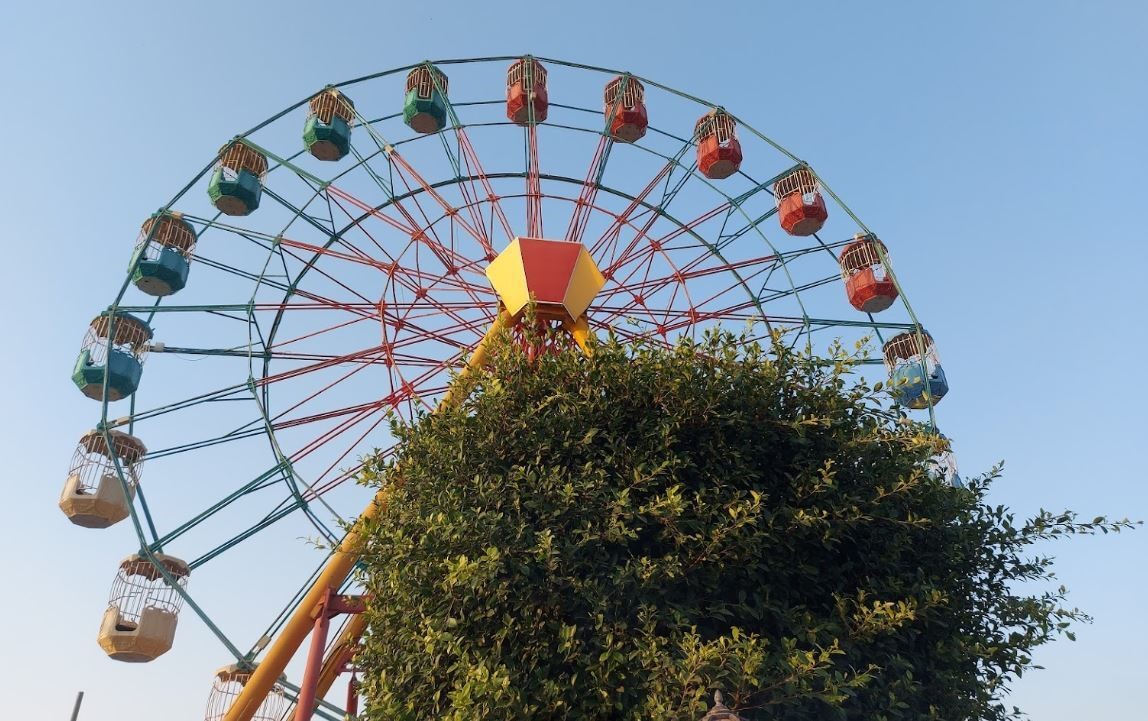 A view of a ferris wheel from below with a tree in front