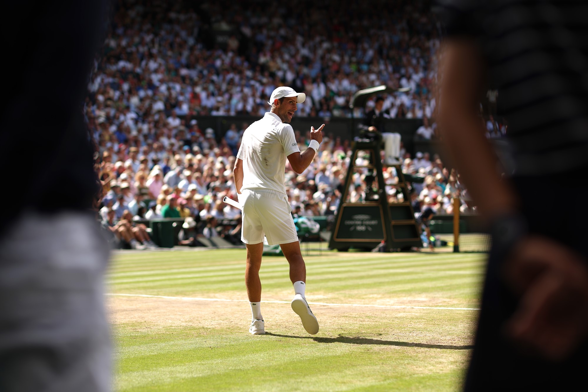 Novak Djokovic shouts over his shoulder during the Wimbledon final.