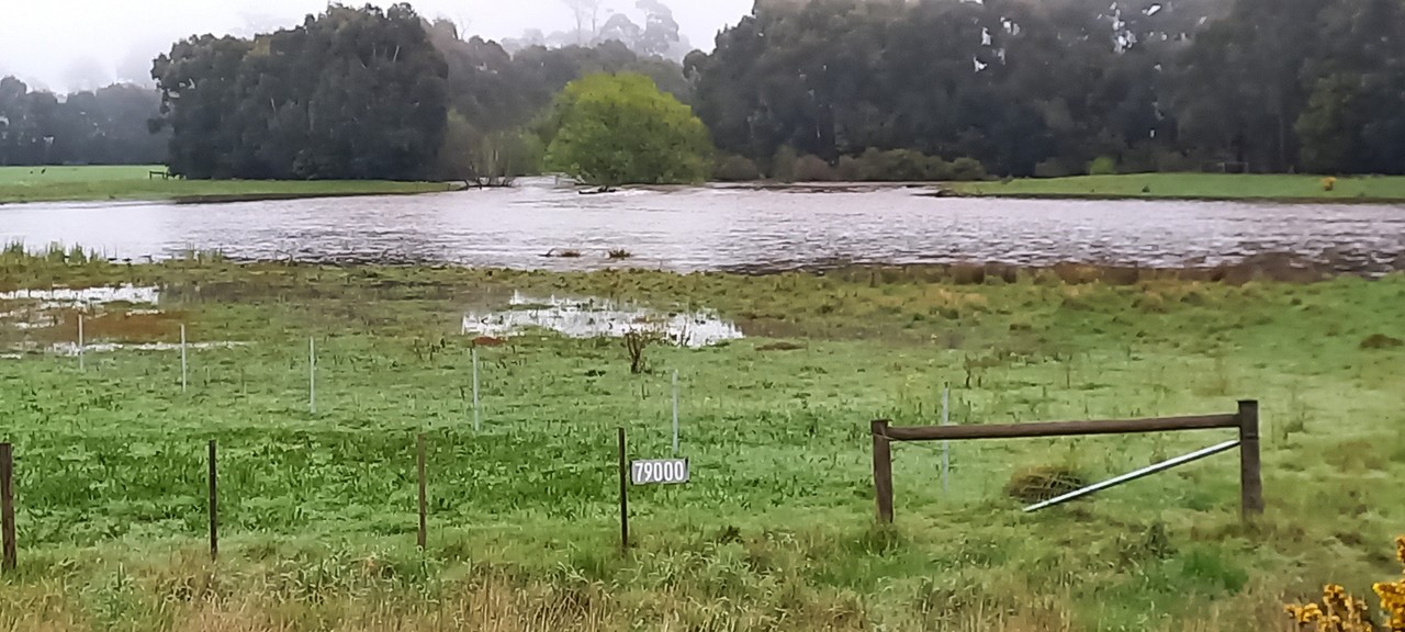 A flooded paddock