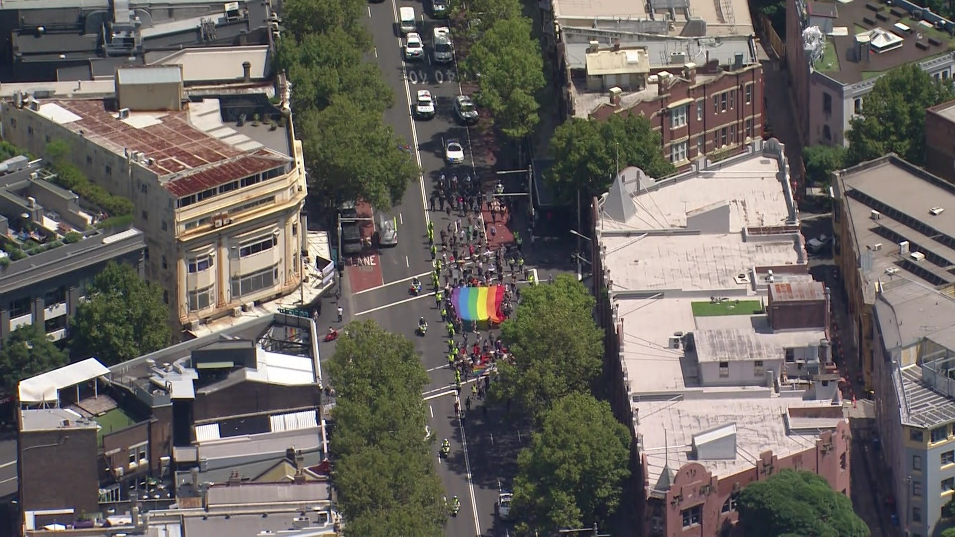 Aerial view of marchers