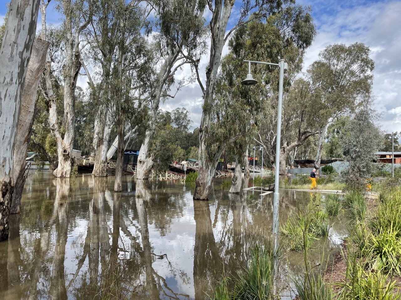 Flooding inundates a park in Echuca by the river.