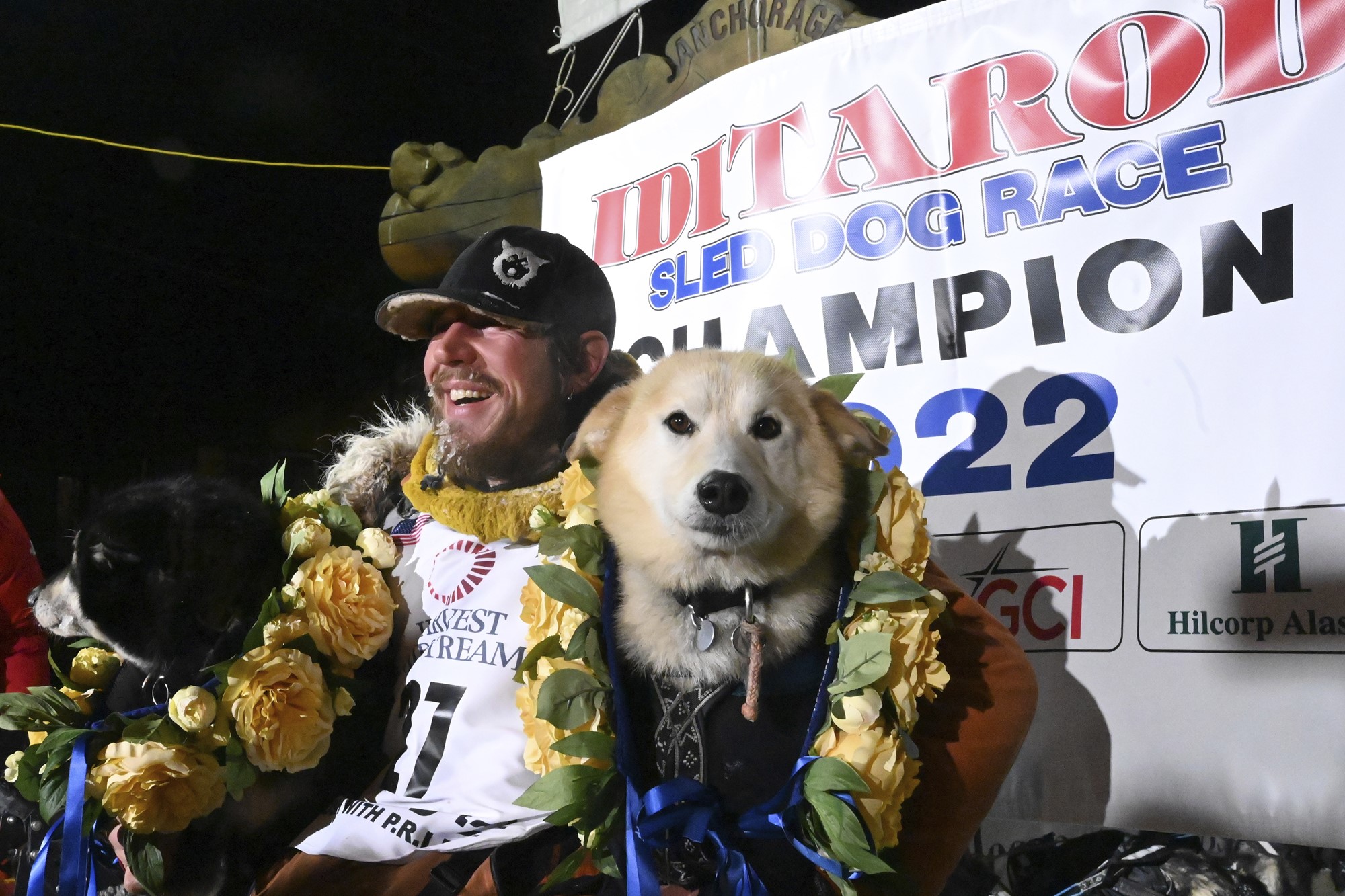 A man sits in front of a sign reading Iditarod Sled Dog Champion, his arms are around two huskies with flower garlands. 