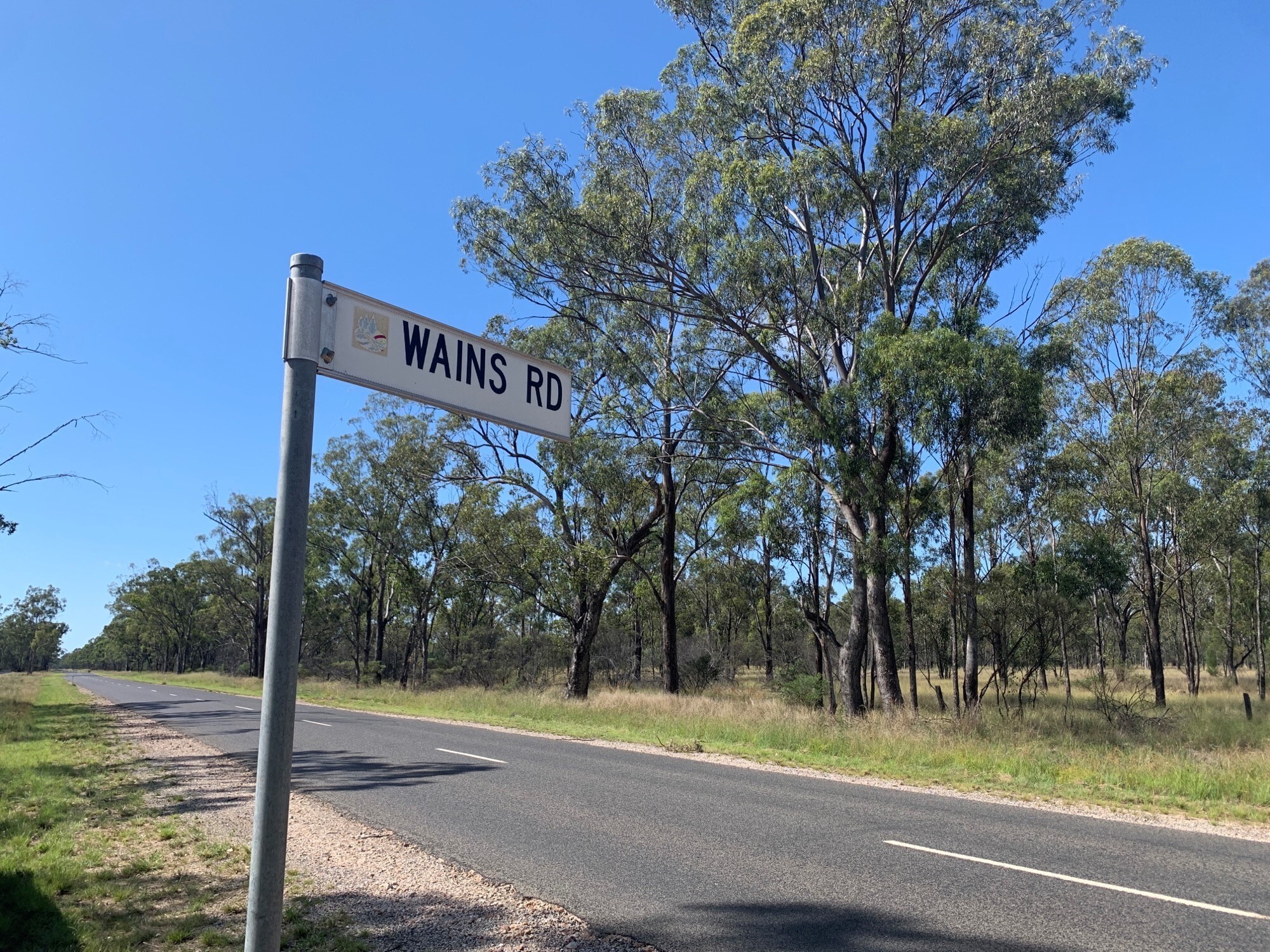 A street sign saying Wains Road on the road side with only trees and bushland on either side.