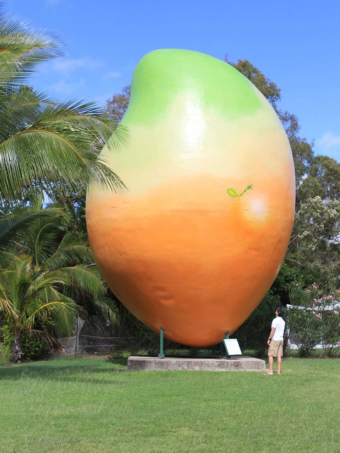 Bowen's Big Mango, among trees, with a man standing near it