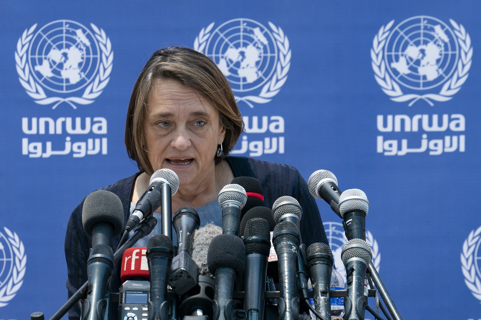 A woman in front of a UN backdrop behind a pack of microphones. 