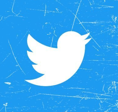Twitter logo of white bird on scratched blue background