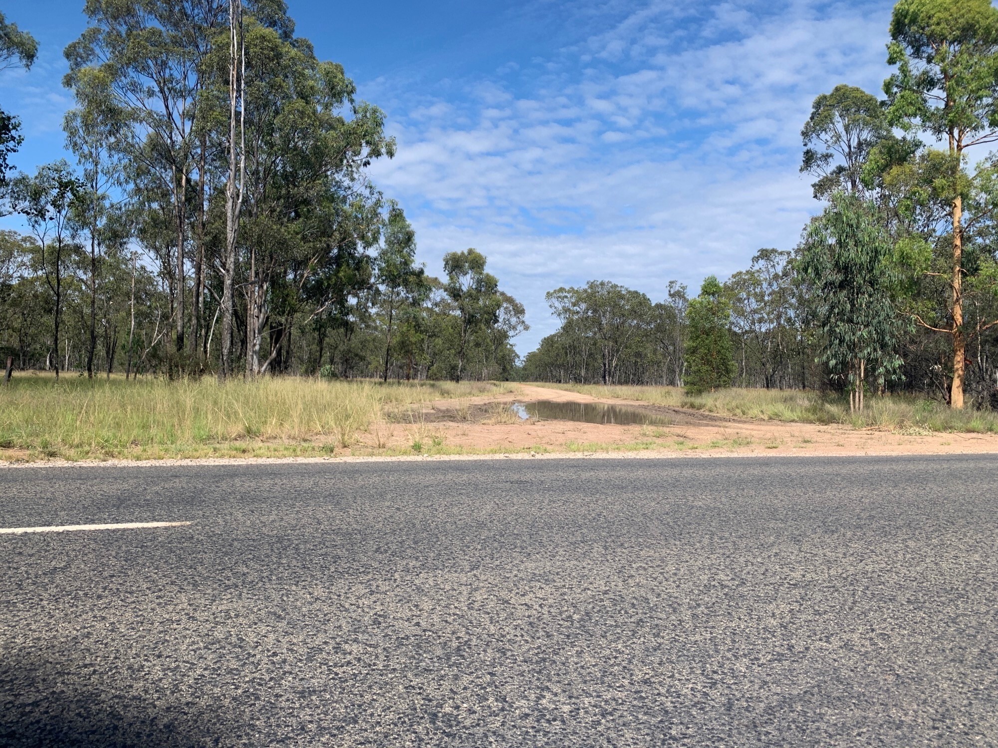 An empty road with bushland surrounding.