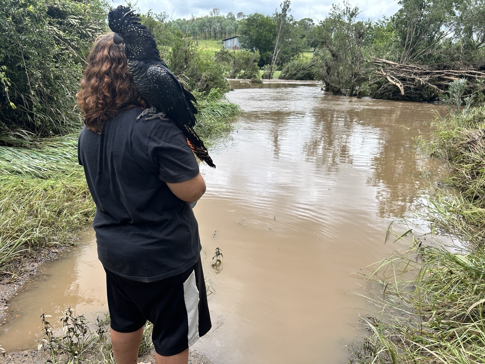 Woman stands looking at floodwaters