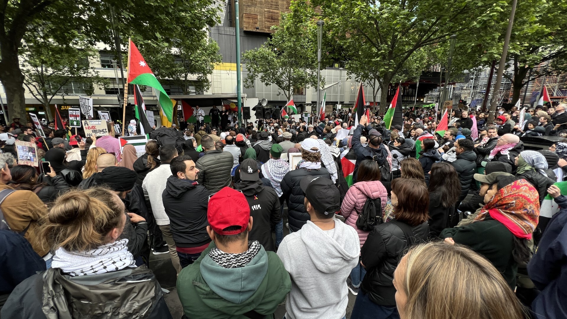 A pro-Palestine rally