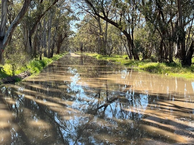 Floodwaters from the Goulburn and Murray rivers continue to rise near FMs Ferris’s