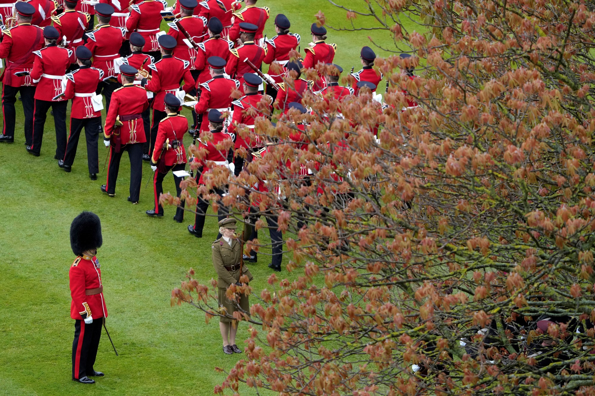 Troops march in the garden.