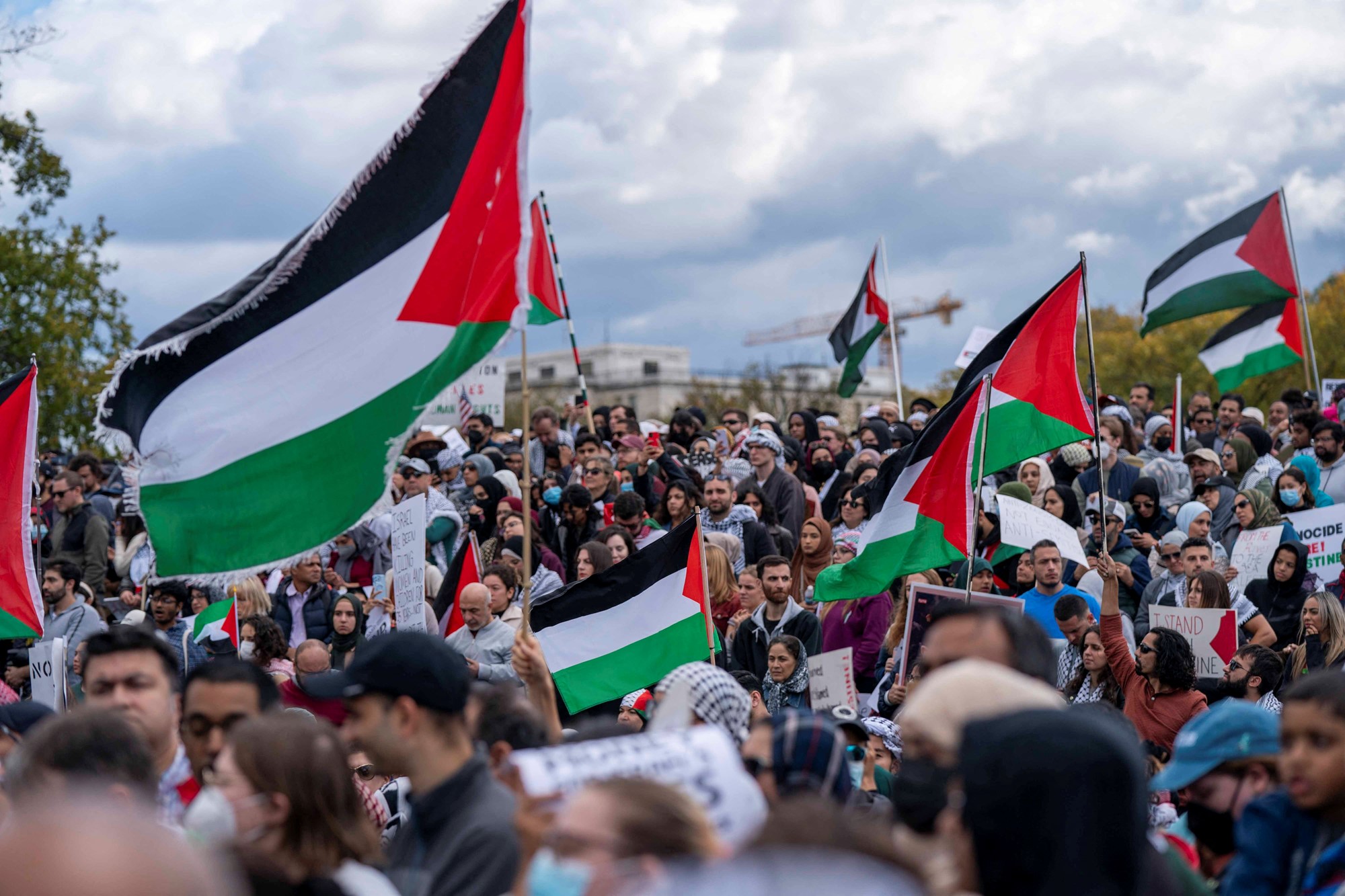 People raise flags and posters during a rally held by American Muslims for Palestine calling for a cease fire in Gaza near the Washington Monument in in Washington