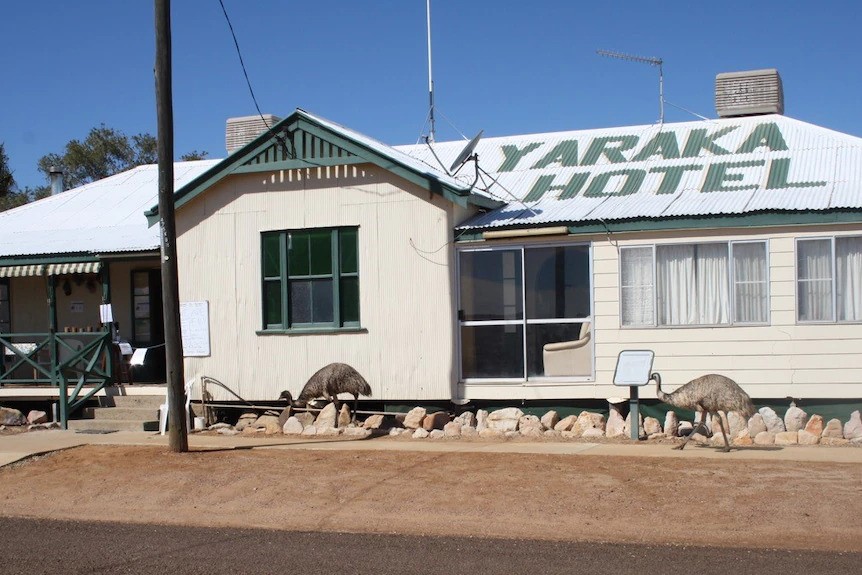 A building with Yaraka Hotel on the roof. Two emus walk out the front 