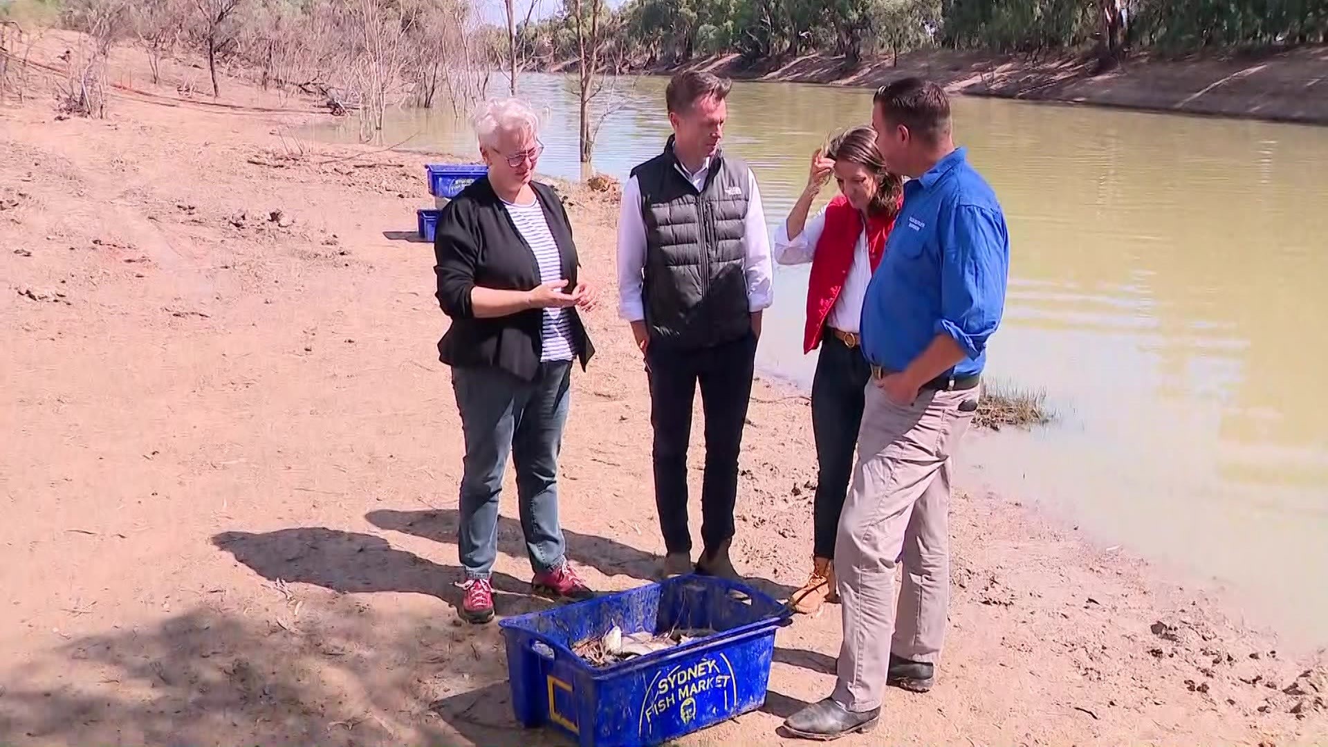 Four people stand around a box of dead fish