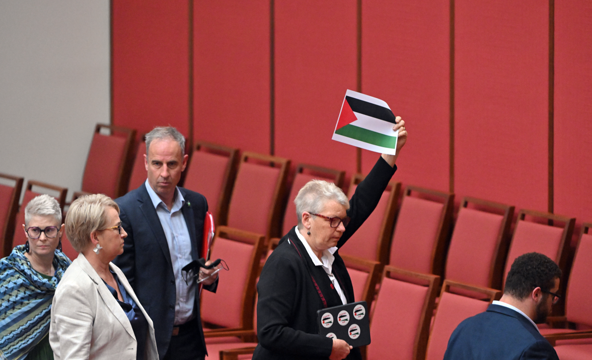 Grey haired woman holds a palestinian flag print out 