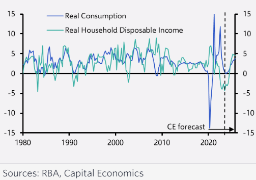 Savings have cushioned the blow from falling real disposable incomes